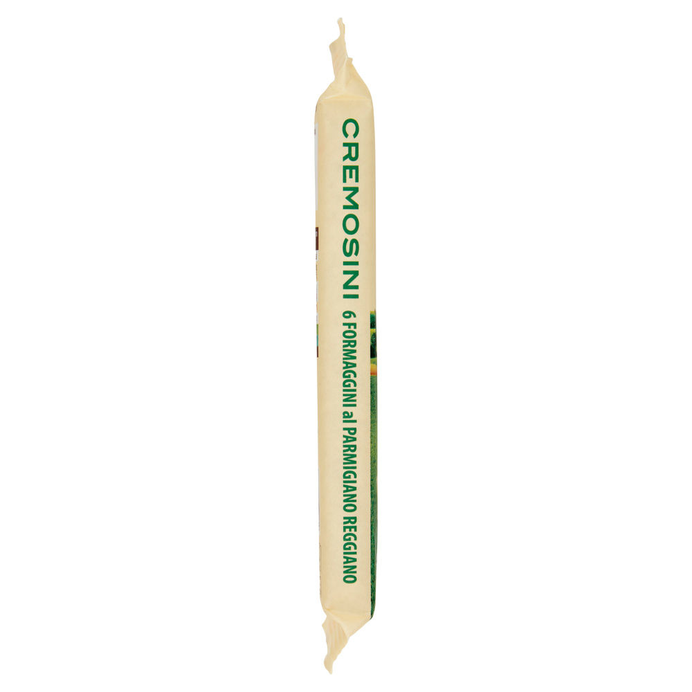 CREMOSINI AL PARMIGIANO REGGIANO DOP PARMAREGGIO 6 PZ SCATOLA G 125 - 5