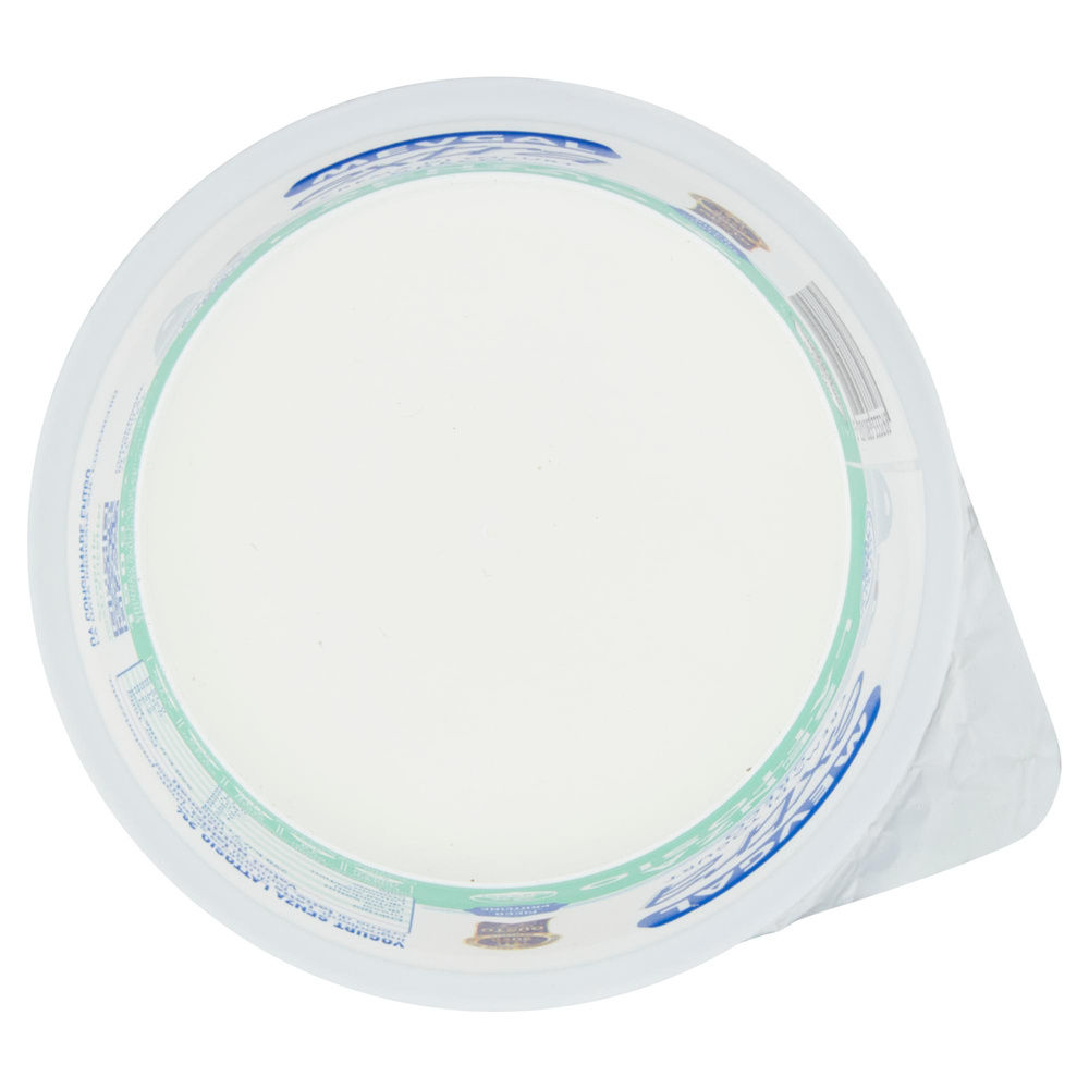 YOGURT GRECO 2% SENZA LATTOSIO MEVGAL VASETTO 150 G - 7