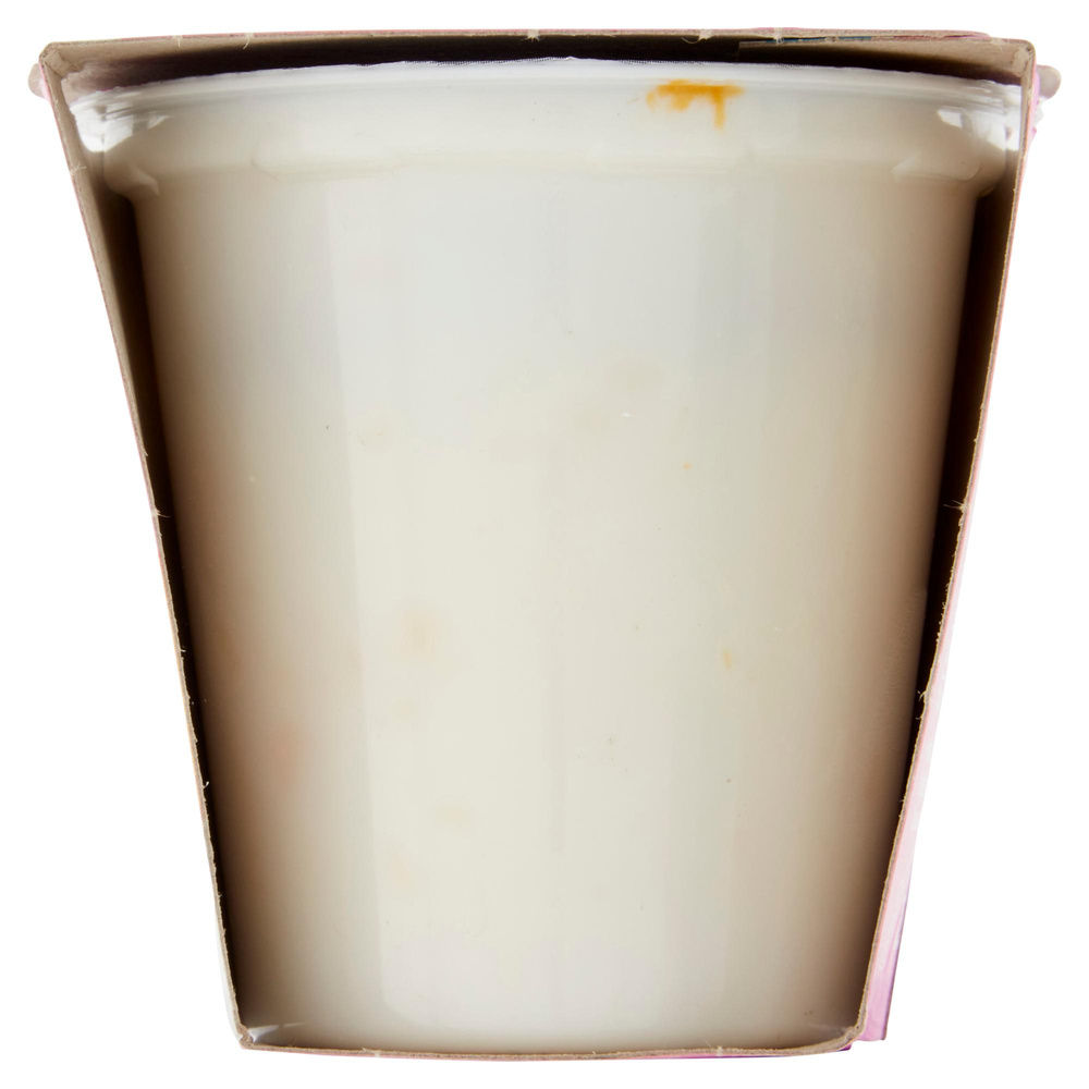 YOGURT MAGRO 0% COOP PESCA G 125X2 - 7