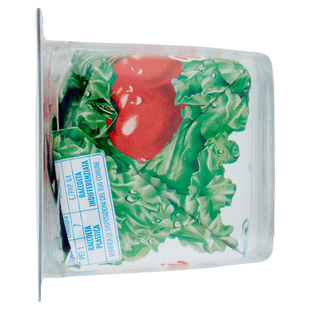 ROBIOLA NONNO NANNI BIPACK 200G - 5