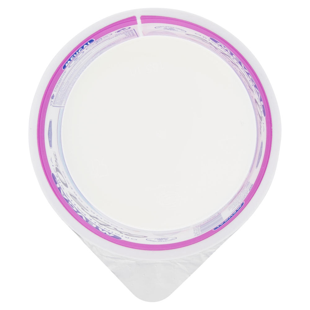 CREMA DI YOGURT GRECO EXTRA 0% MEVGAL VASETTO 150 G - 1
