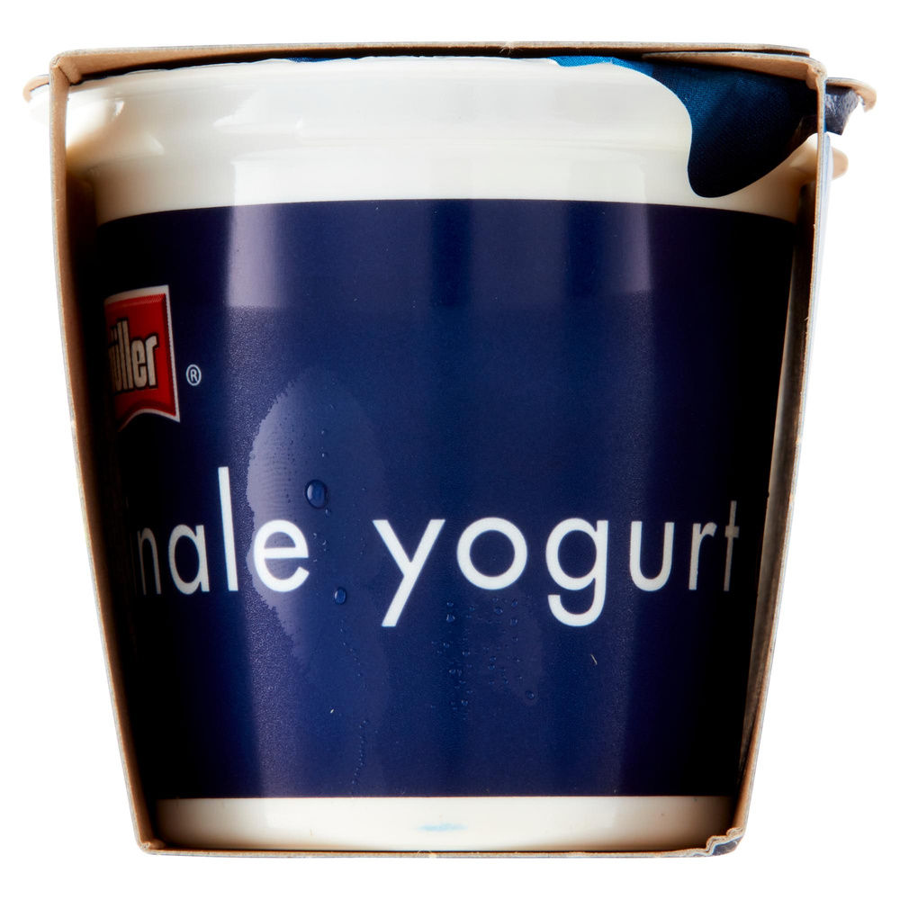 YOGURT PESCA&ALBICOCCA  MULLER 2X125G - 4