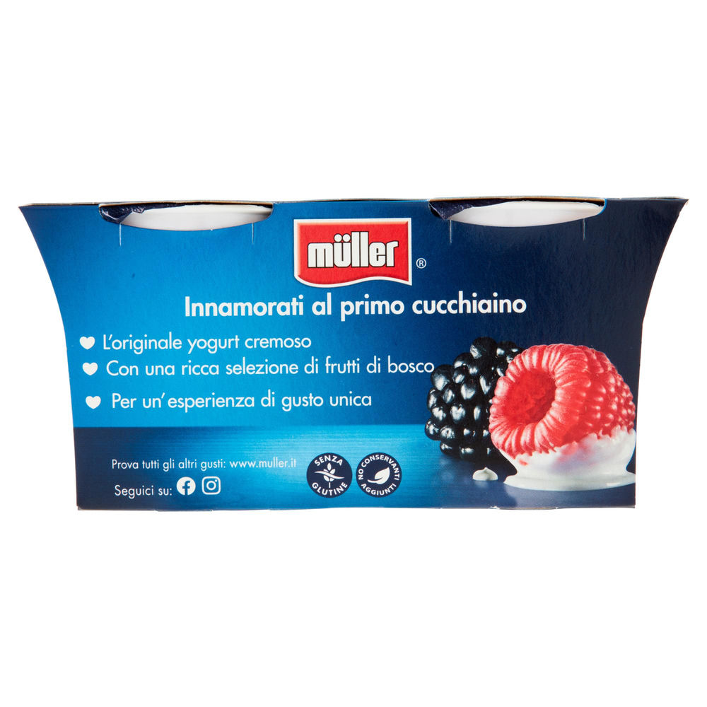 YOGURT MORE&LAMPONI  MULLER 2X125G - 1