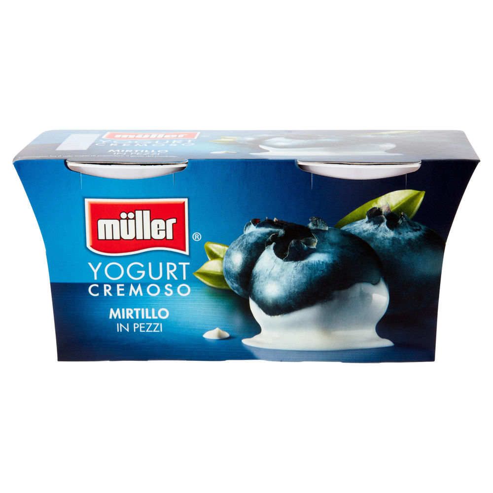 YOGURT MIRTILLO  MULLER 2X125G - 2