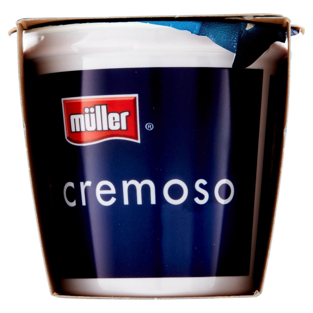 YOGURT MIRTILLO  MULLER 2X125G - 5