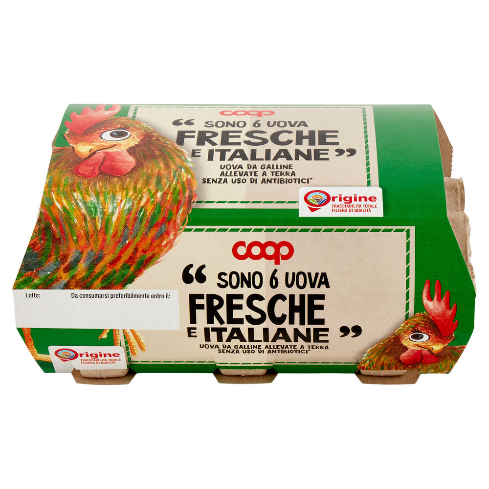 UOVA FRESCHE MEDIE ALLEVATE A TERRA SENZA ANTIBIOTICI X6 ORIGINE COOP - 10