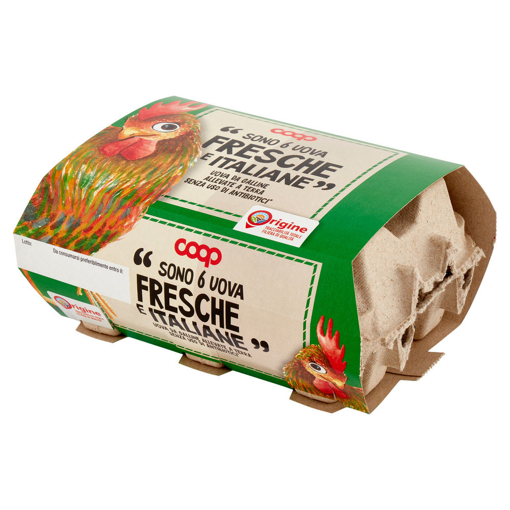 UOVA FRESCHE MEDIE ALLEVATE A TERRA SENZA ANTIBIOTICI X6 ORIGINE COOP - 9