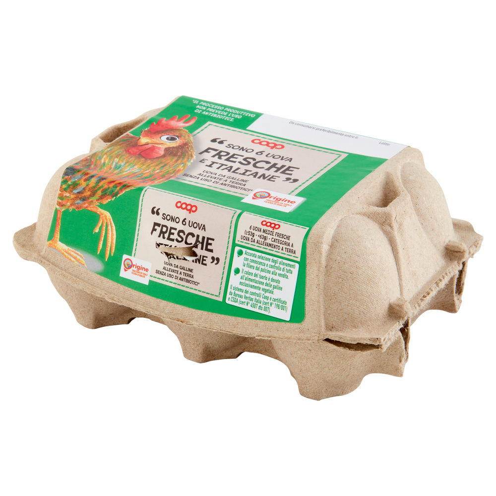 UOVA FRESCHE MEDIE ALLEVATE A TERRA SENZA ANTIBIOTICI X6 ORIGINE COOP - 35