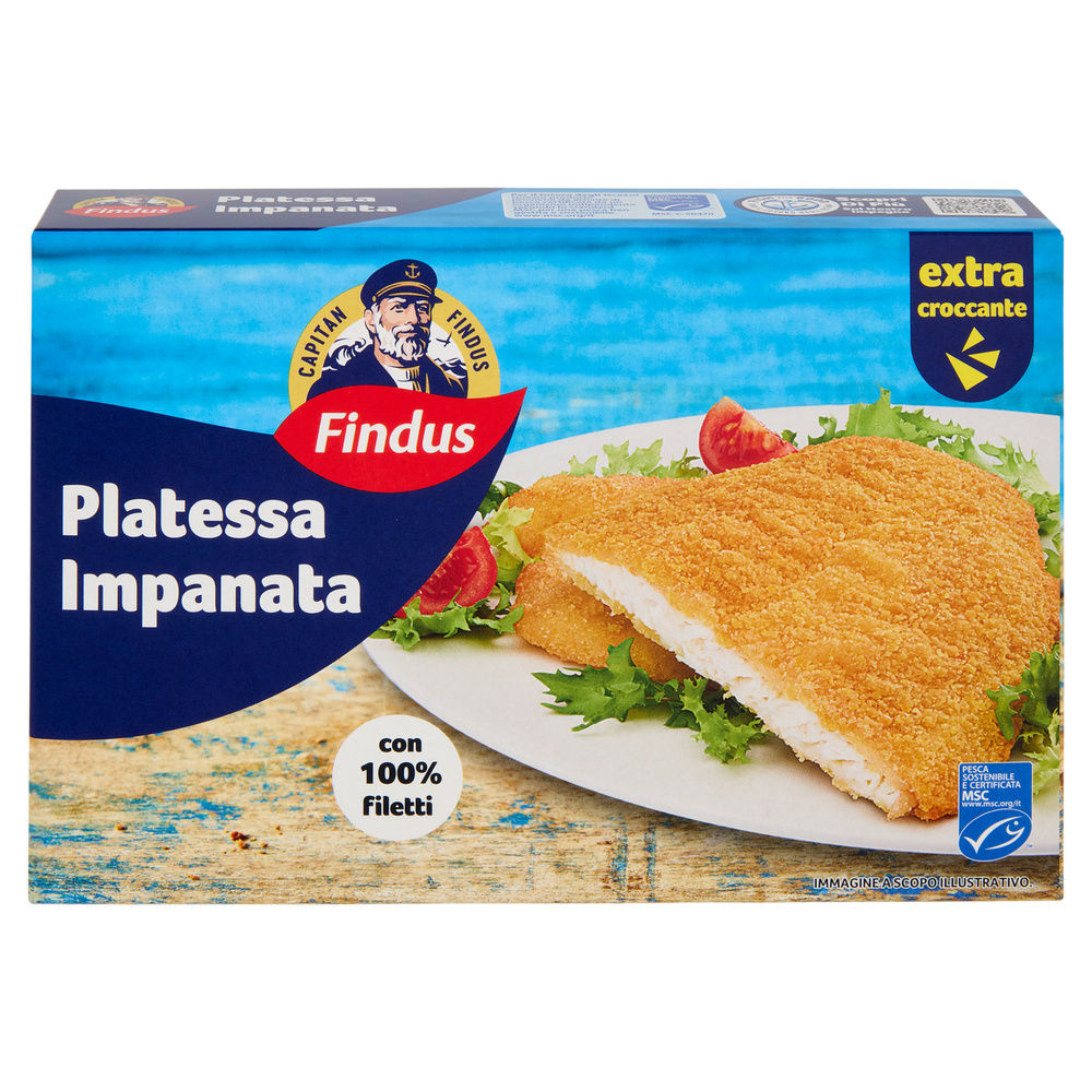 FILETTI DI PLATESSA IMPANATA CAPITAN FINDUS SCATOLA G 250 - 6