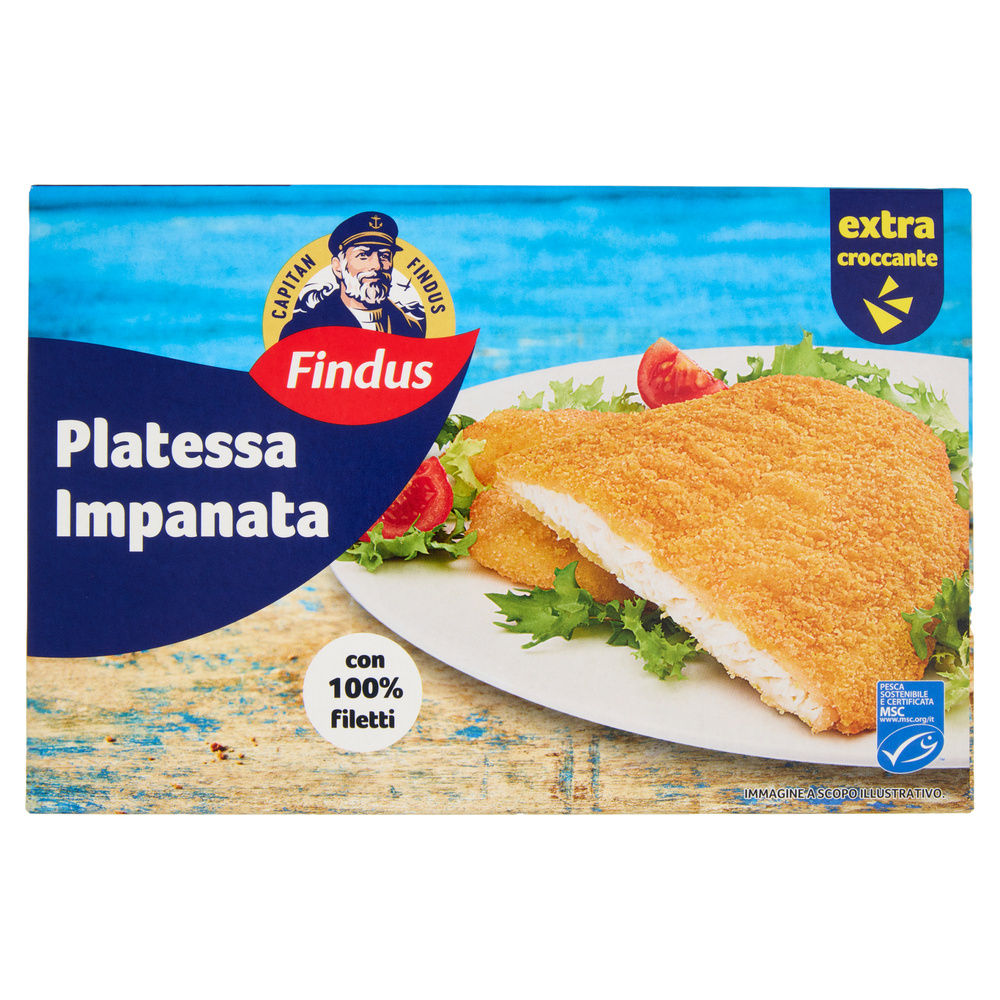 FILETTI DI PLATESSA IMPANATA CAPITAN FINDUS SCATOLA G 250 - 4