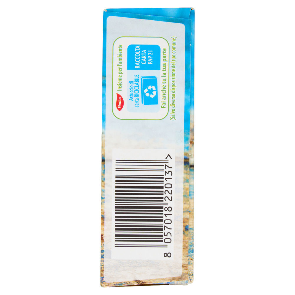 FILETTI DI PLATESSA IMPANATA CAPITAN FINDUS SCATOLA G 250 - 7