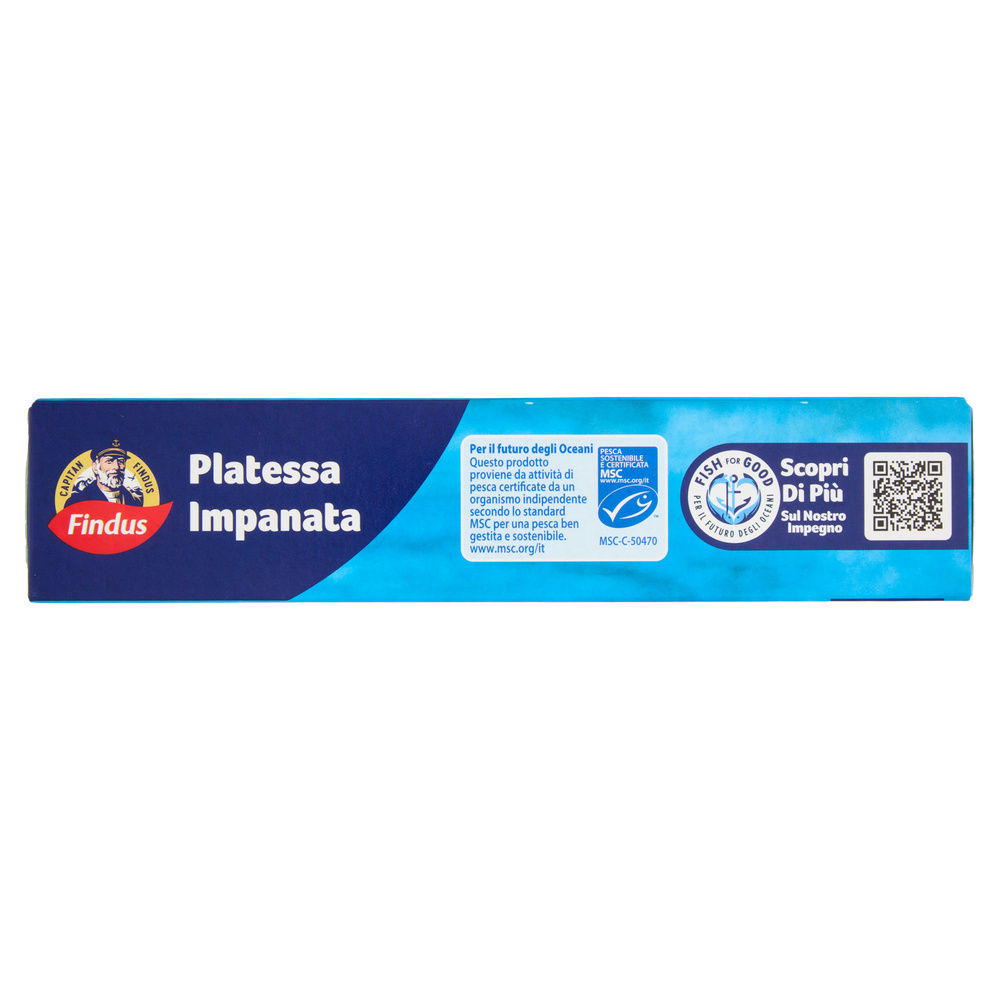 FILETTI DI PLATESSA IMPANATA CAPITAN FINDUS SCATOLA G 250 - 8