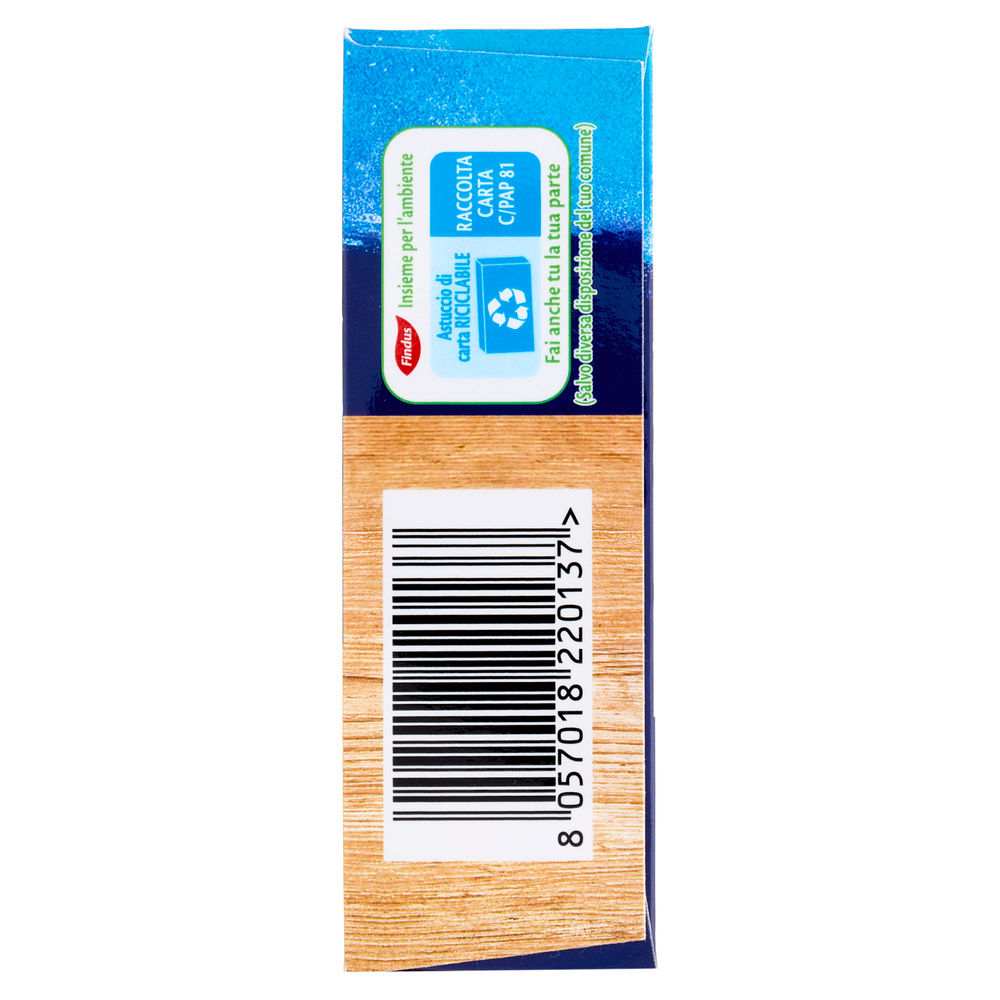 FILETTI DI PLATESSA IMPANATA CAPITAN FINDUS SCATOLA G 250 - 13