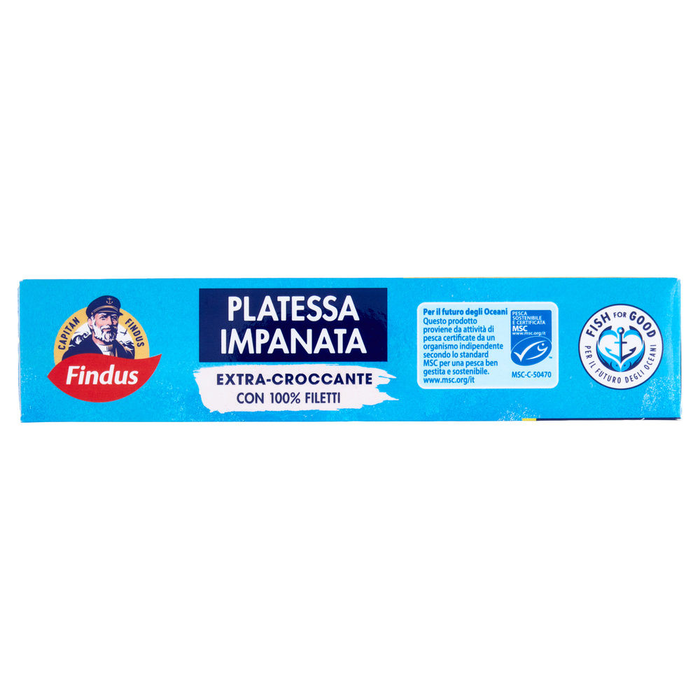 FILETTI DI PLATESSA IMPANATA CAPITAN FINDUS SCATOLA G 250 - 14