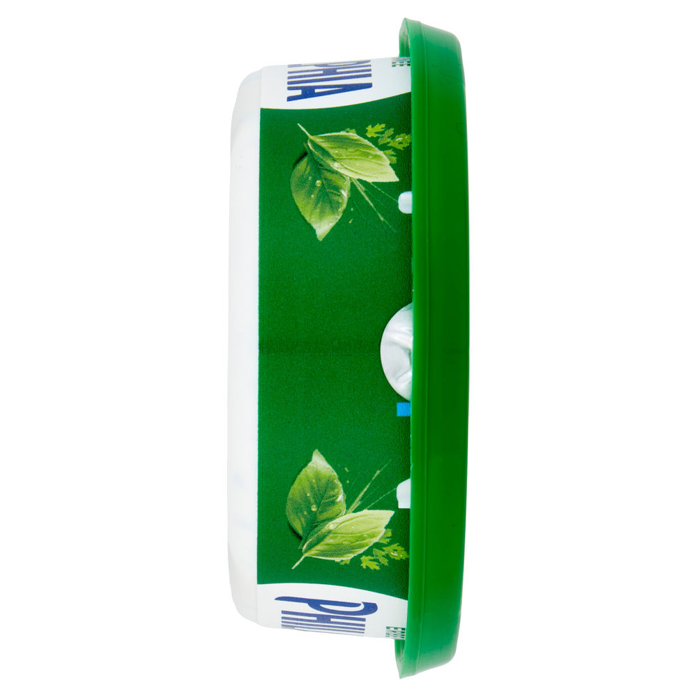 PHILADELPHIA FORMAGGIO CREMOSO ERBE MEDITERRANEE G 150 - 7
