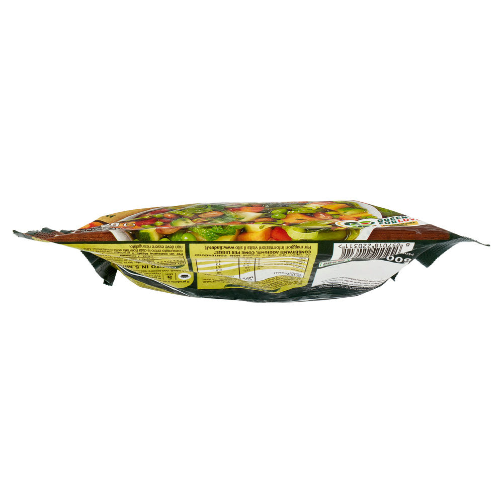 MINESTRONE TRADIZIONE 5 MINUTI FINDUS BUSTA G 600 - 2