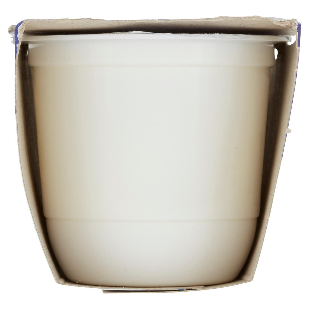 YOGURT INTERO BIANCO 2X125G CENTRALE DEL LATTE DI ROMA - 3
