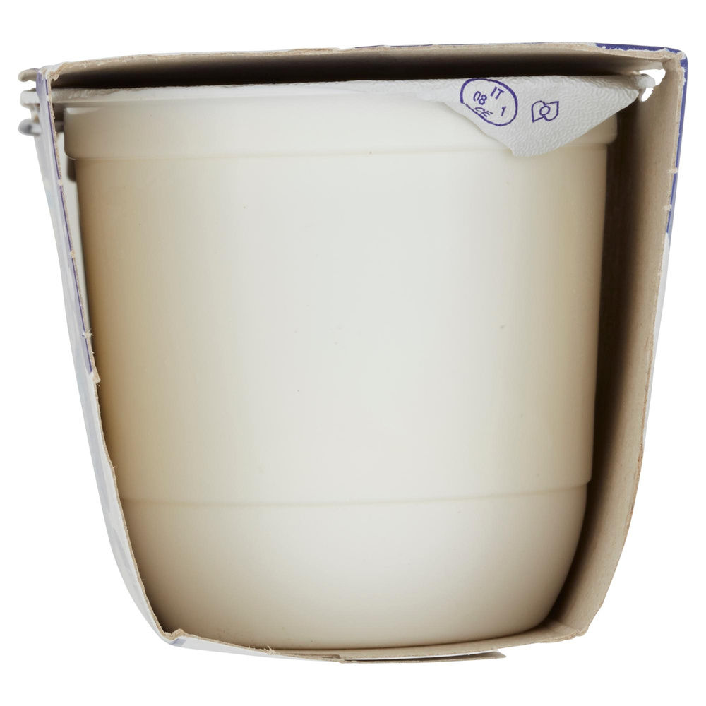 YOGURT INTERO BIANCO 2X125G CENTRALE DEL LATTE DI ROMA - 5