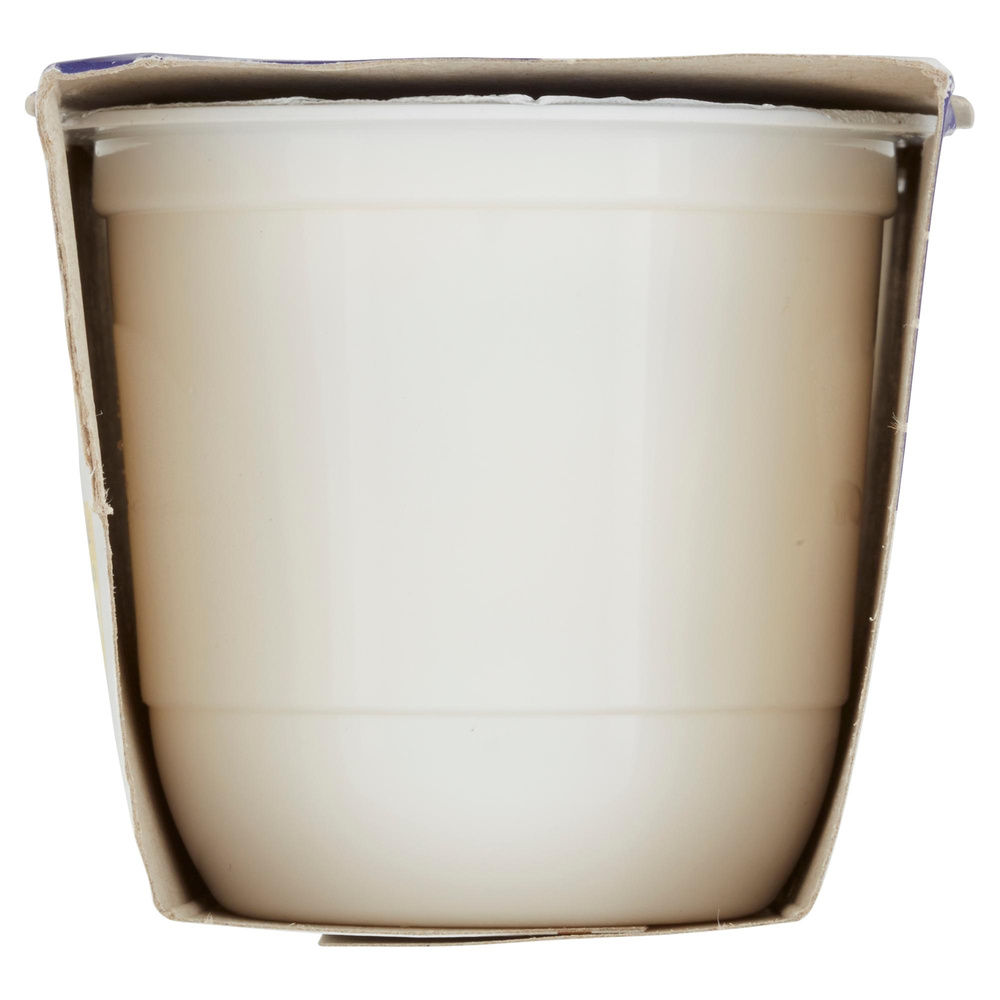 YOGURT INTERO BANANA  2X125G CENTRALE DEL LATTE DI ROMA - 4