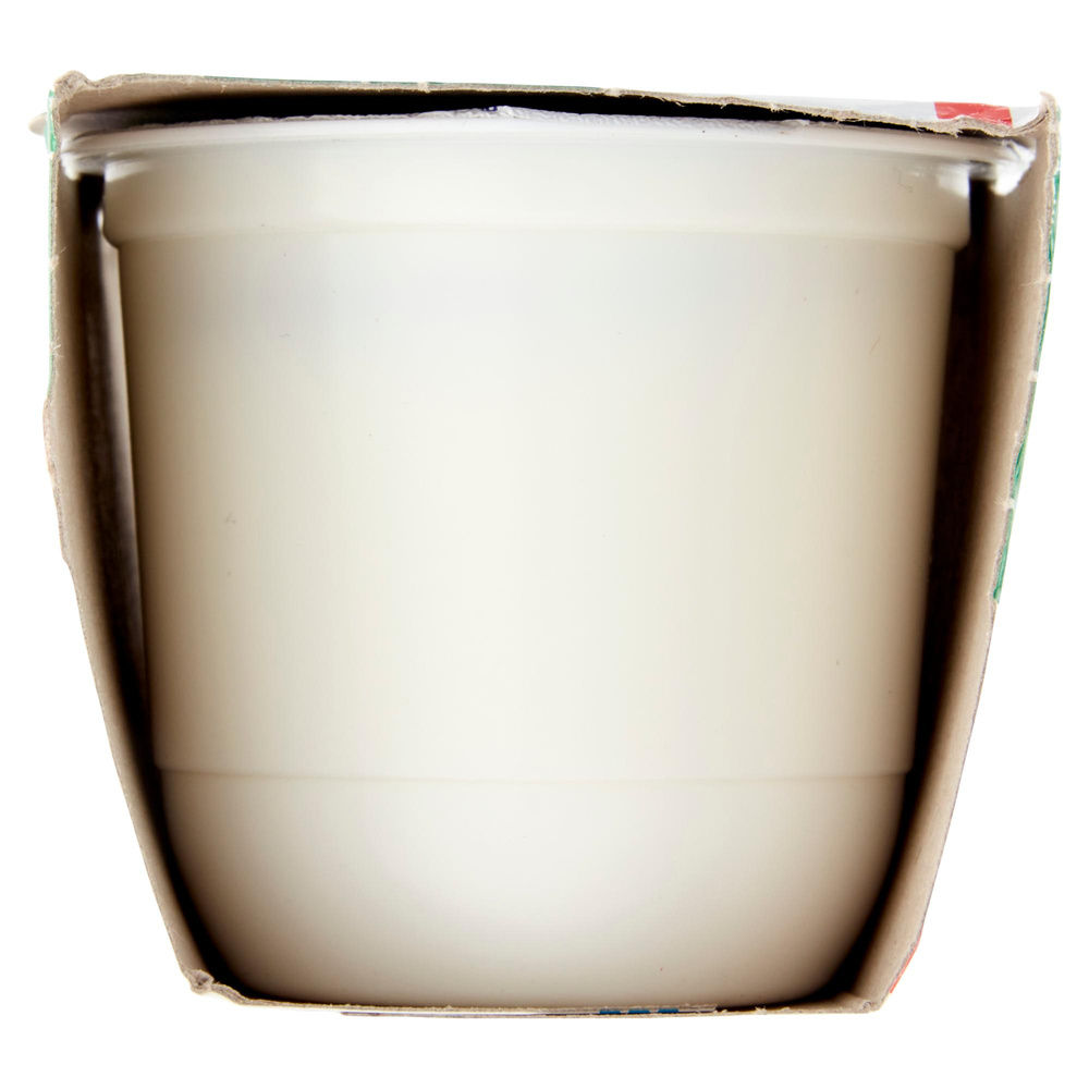 YOGURT MAGRO NATURALE 2X125G CENTRALE DEL LATTE DI ROMA - 7