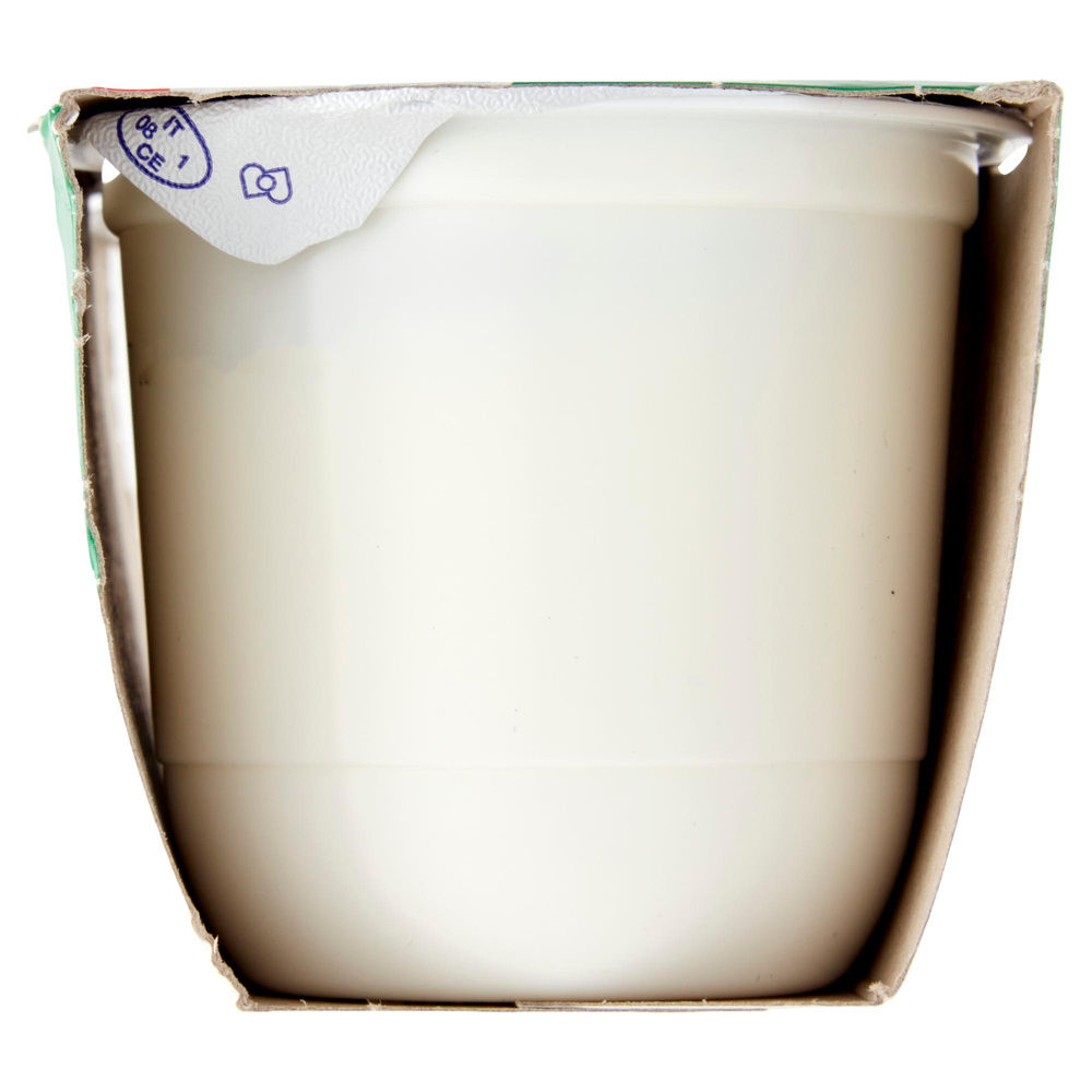 YOGURT MAGRO NATURALE 2X125G CENTRALE DEL LATTE DI ROMA - 3