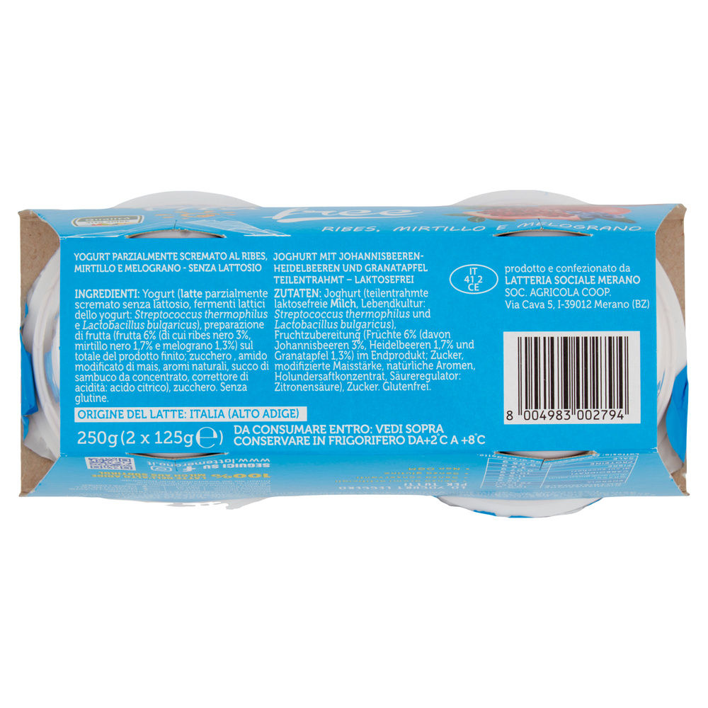 YOGURT BELLA VITA FREE SENZA LATTOSIO RIBES MIRTILLO MELOGRANO G  125X2 - 4