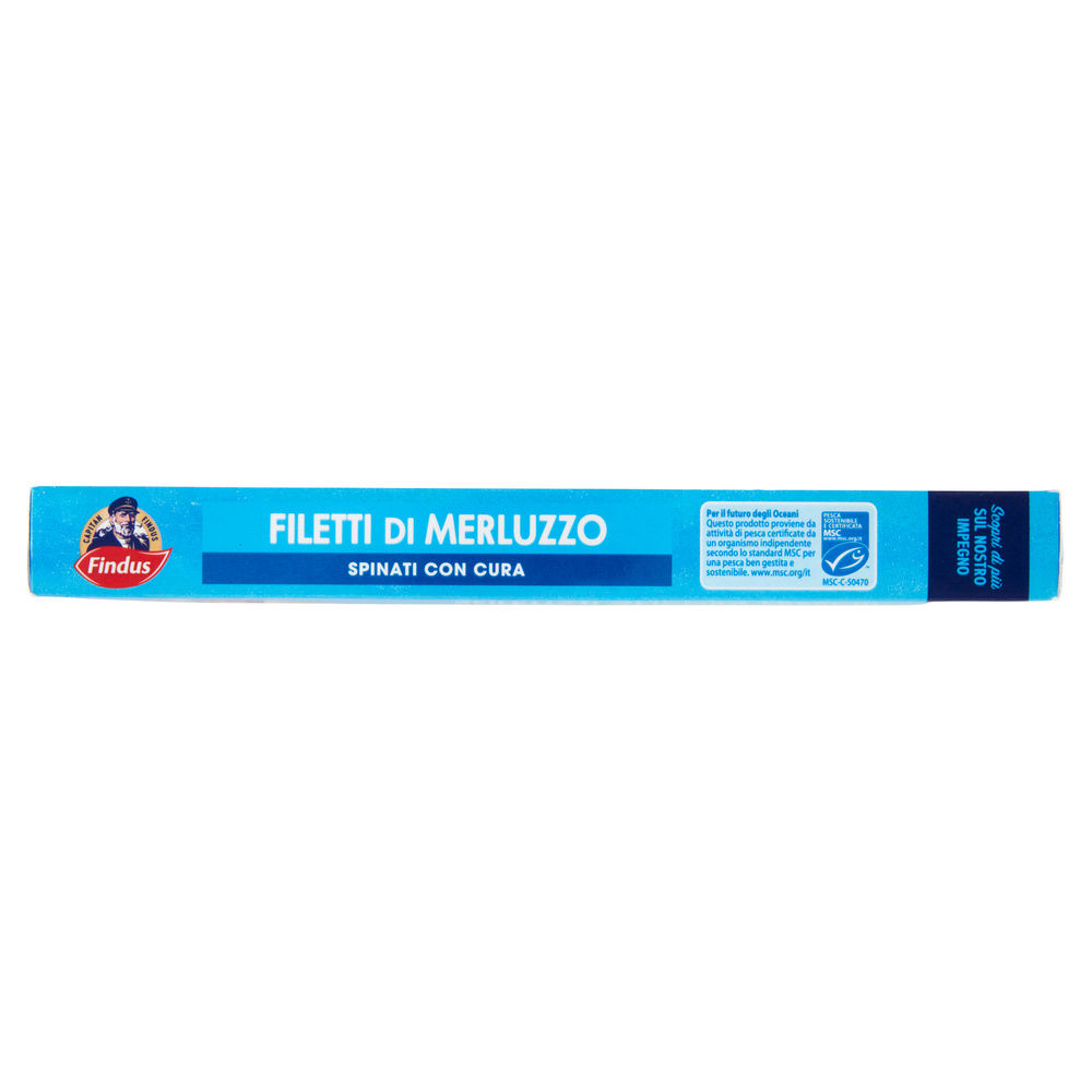 FILETTI DI MERLUZZO CAPITAN FINDUS CARTONE G 360 - 3