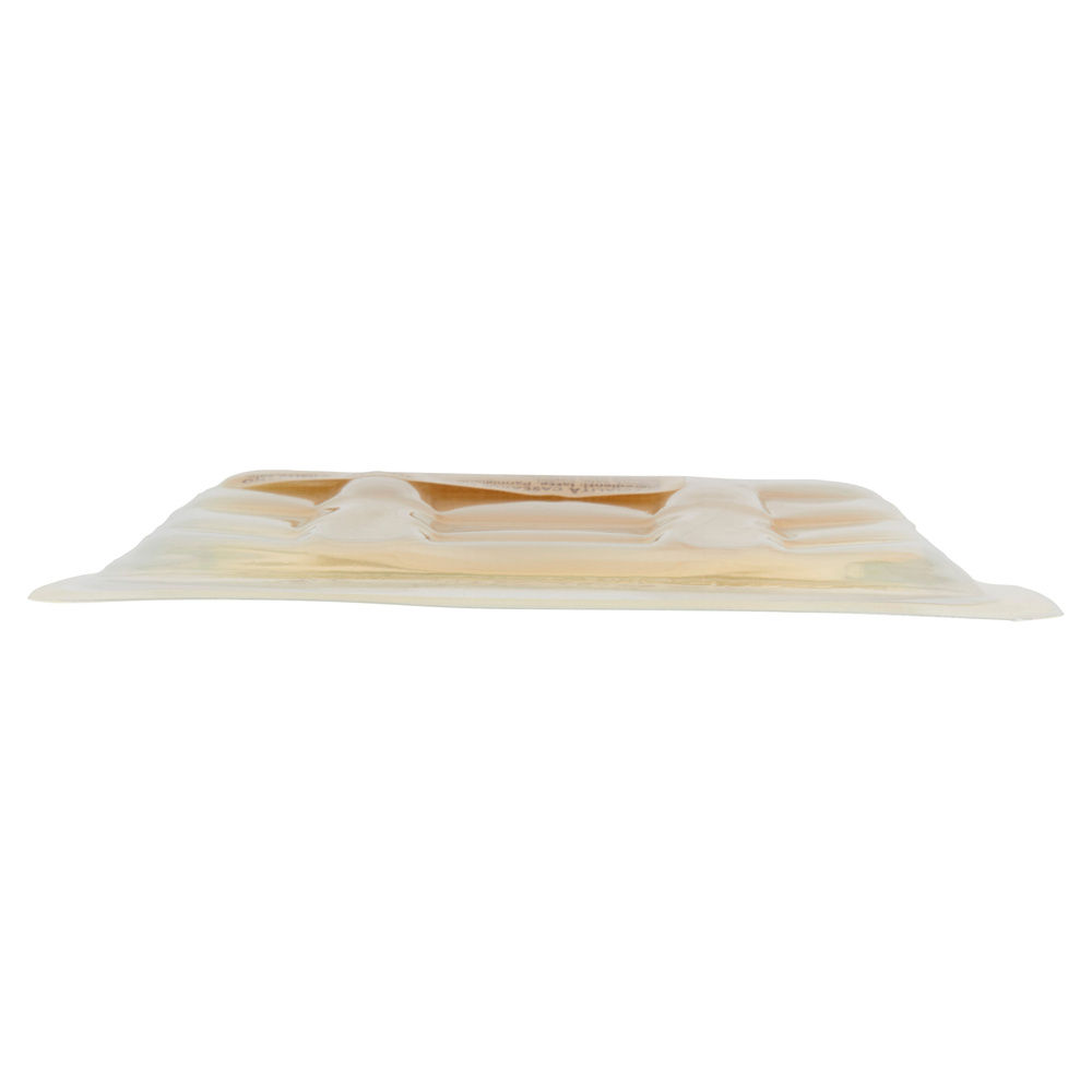 FORMAGGIO A FETTE CON PARMIGIANO REGGIANO VASCHETTA G 120 - 5