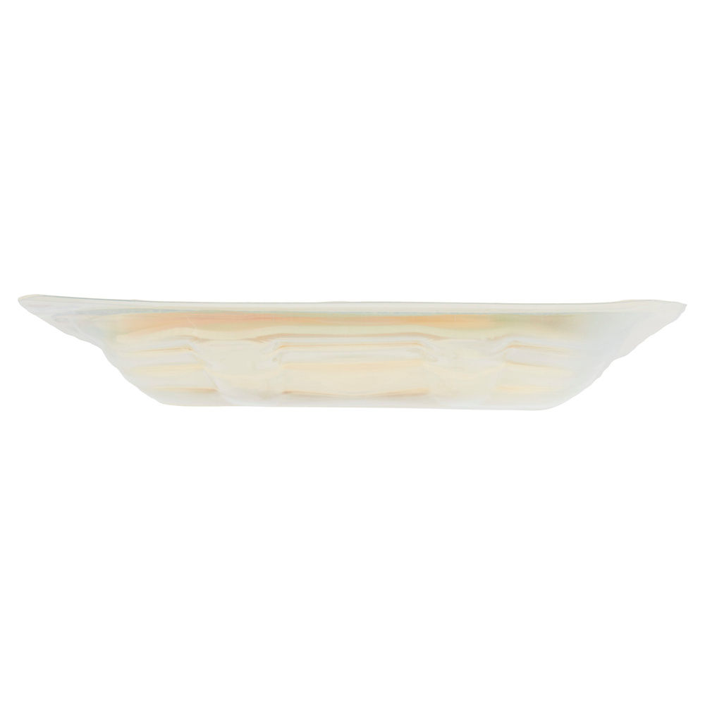 FORMAGGIO A FETTE CON PARMIGIANO REGGIANO VASCHETTA G 120 - 6