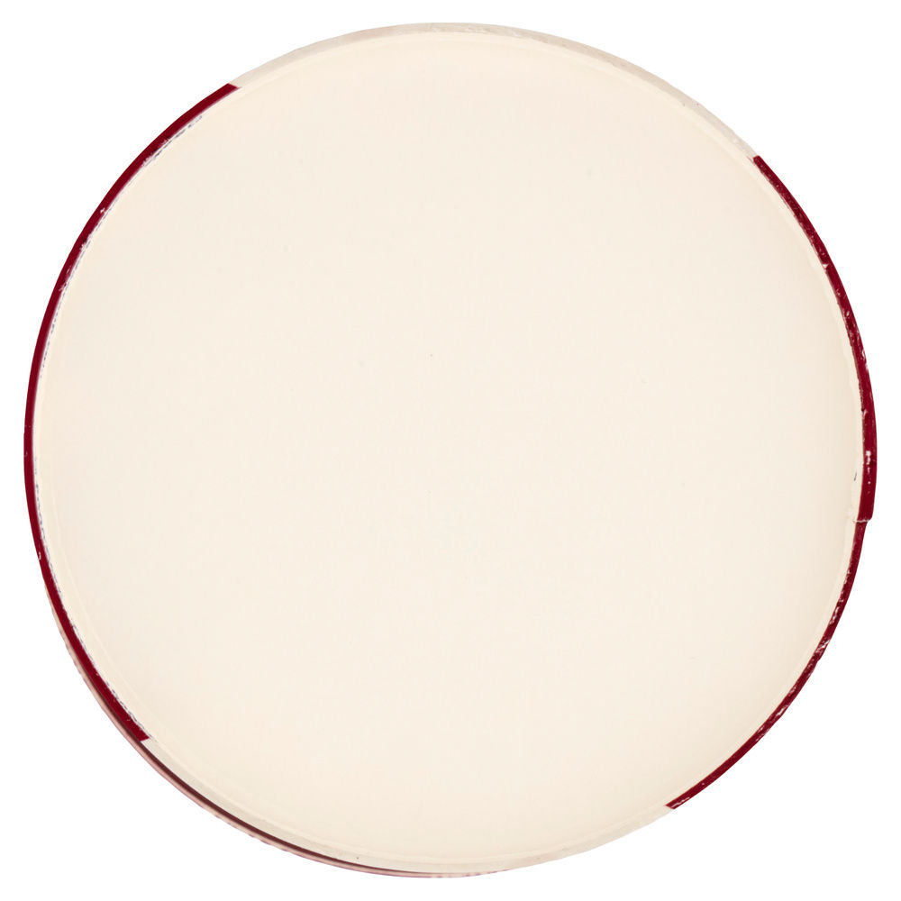 BARATTOLINO LE DELIZIE AMARENA COPPA ORO SAMMONTANA G 500 - 2