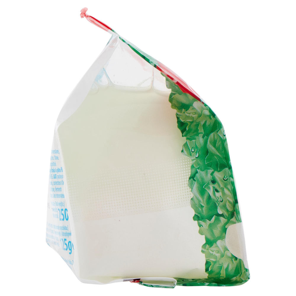 MOZZARELLA NONNO NANNI G 250 SGOCC G 125 - 7