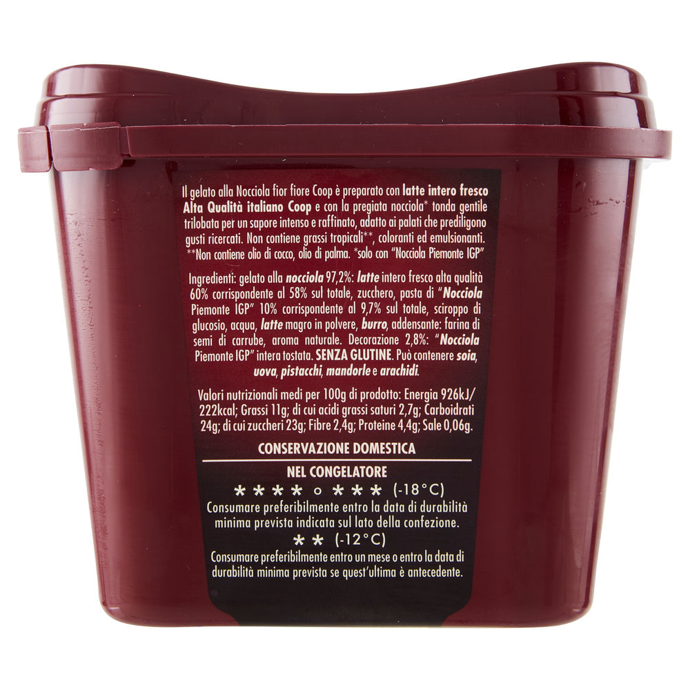 GELATO NOCCIOLA PIEMONTE IGP FIOR FIORE COOP G 300 - 1