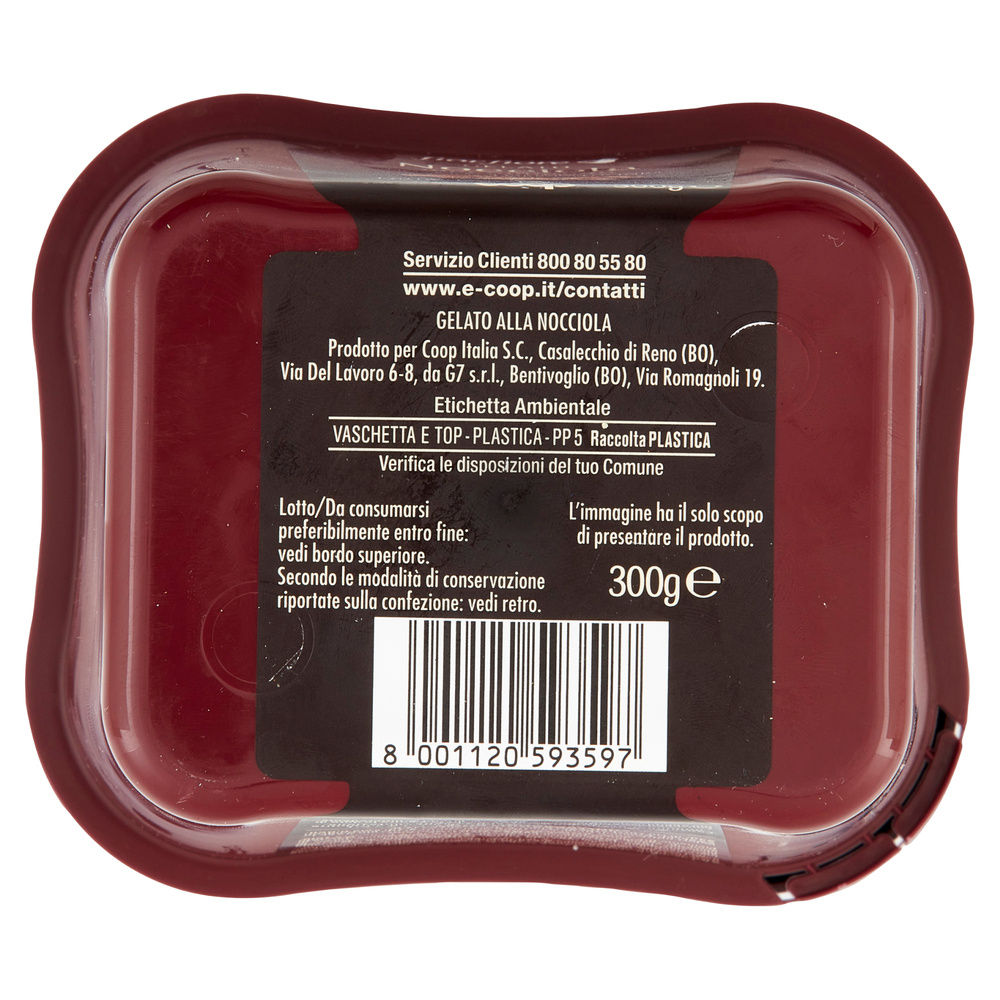 GELATO NOCCIOLA PIEMONTE IGP FIOR FIORE COOP G 300 - 2