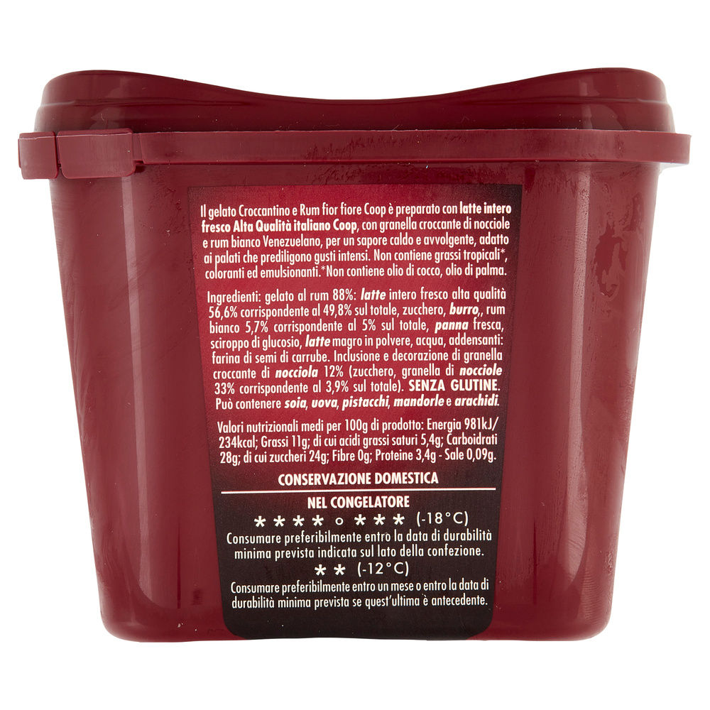 GELATO CROCCANTINO E RUM FIOR FIORE COOP G 300 - 1