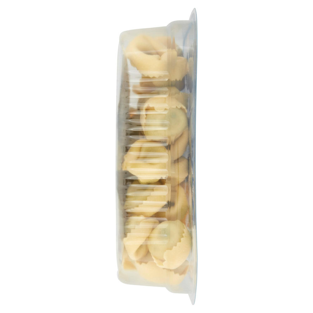 TORTELLONI RICOTTA E SPINACI ANTIGA BOTTEGA G 250 - 6