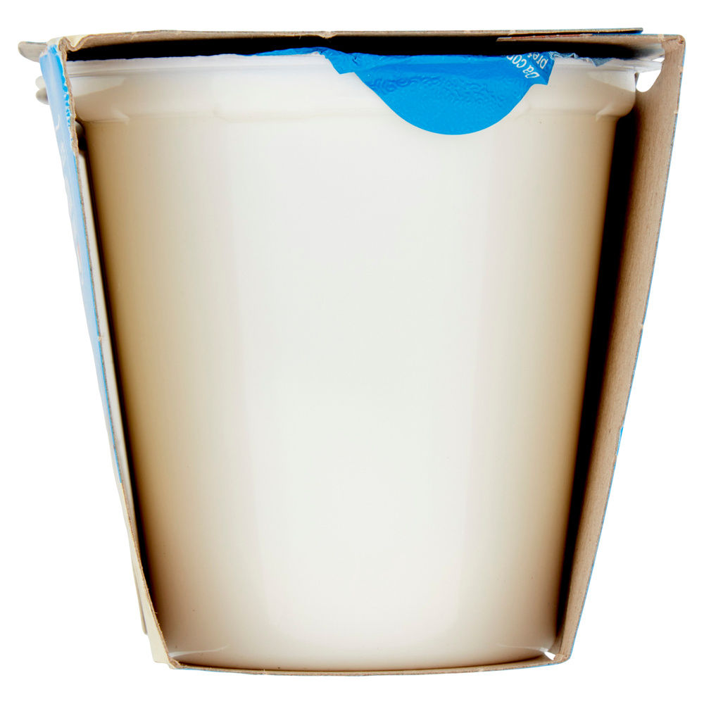 YOGURT INTERO VANIGLIA COOP 2X125G - 2