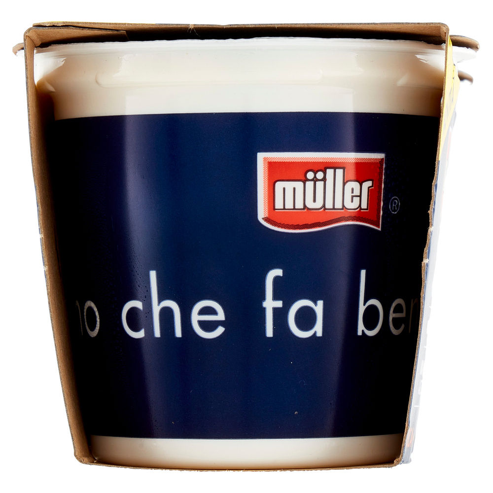 KEFIR PESCA E MANGO MULLER 2X125G - 4