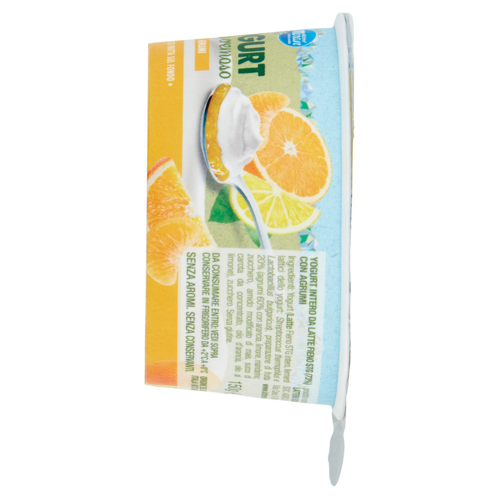 YOGURT MERANO LATTE FIENO DOPPIO STRATO AGRUMI G 150 - 4