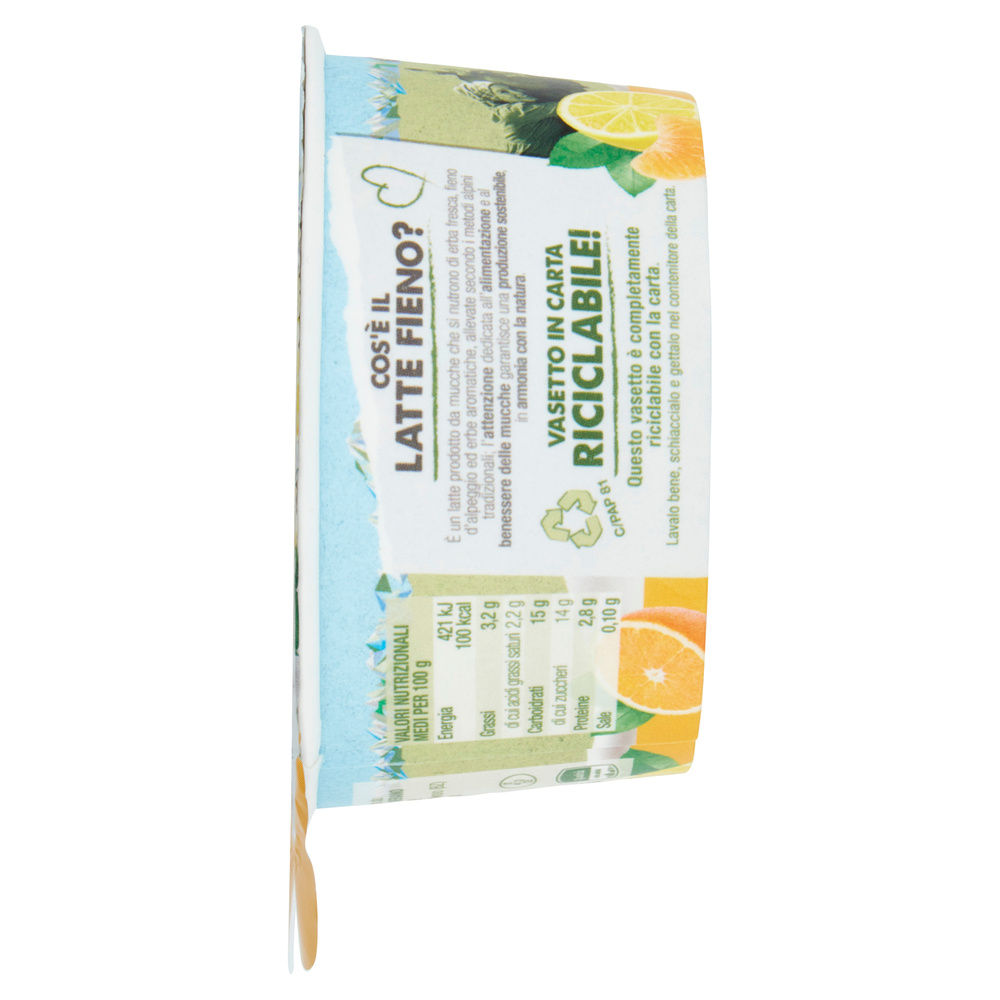 YOGURT MERANO LATTE FIENO DOPPIO STRATO AGRUMI G 150 - 5