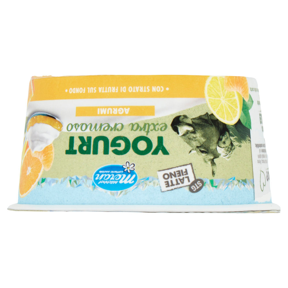 YOGURT MERANO LATTE FIENO DOPPIO STRATO AGRUMI G 150 - 6