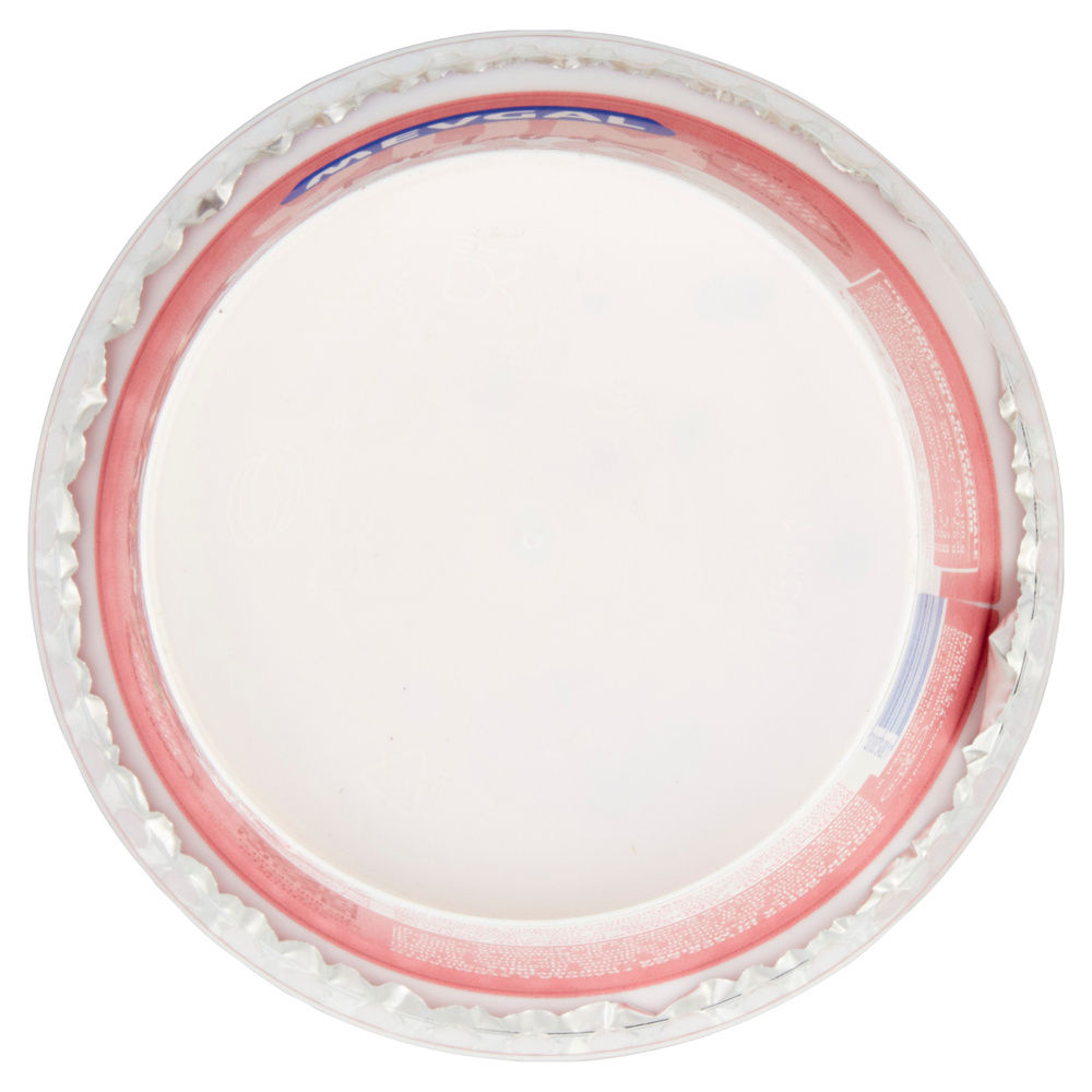 YOGURT YUM PAVLOVA MEVGAL G 156 - 7