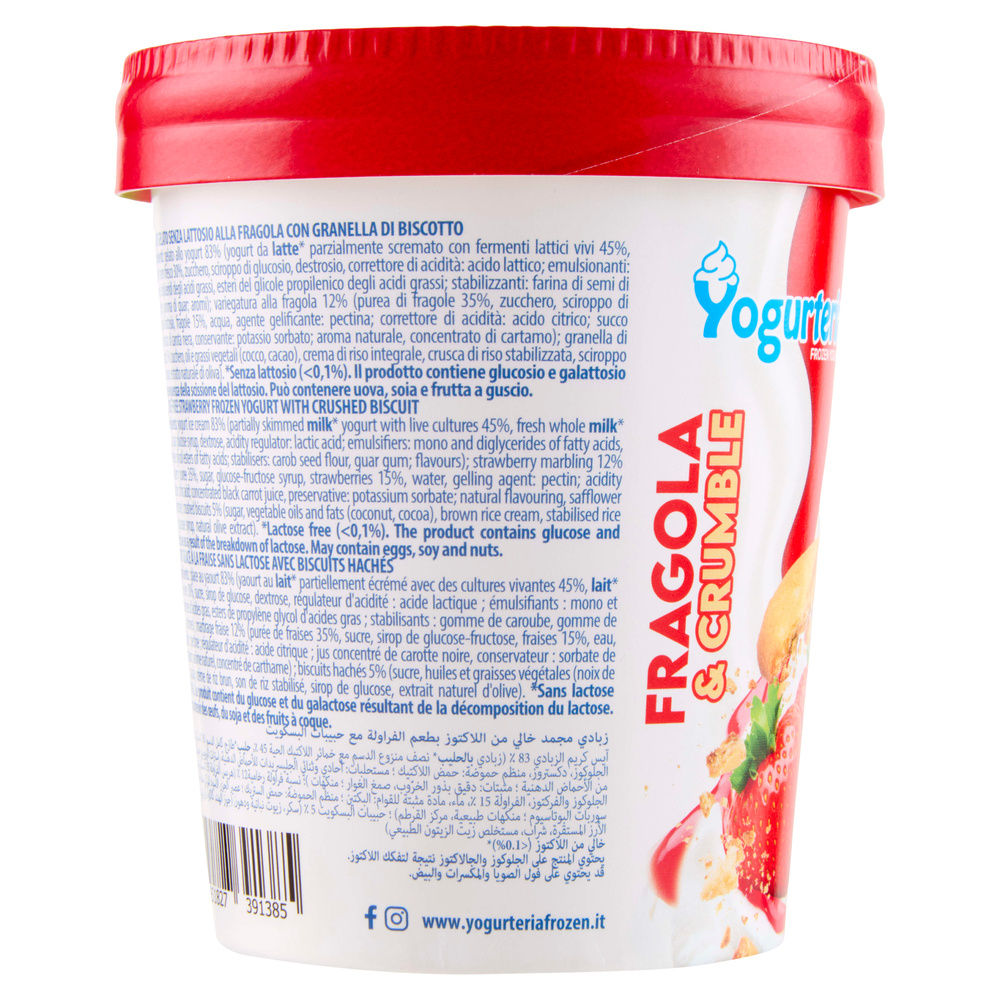 YOGURTERIA FROZEN YOGURT FRAGOLA CRUMBLE SENZA LATTOSIO 250G NEW - 5