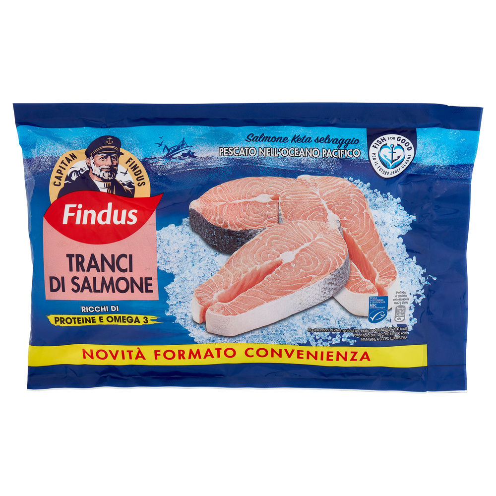 TRANCI DI SALMONE FINDUS G 500 MSC - 2
