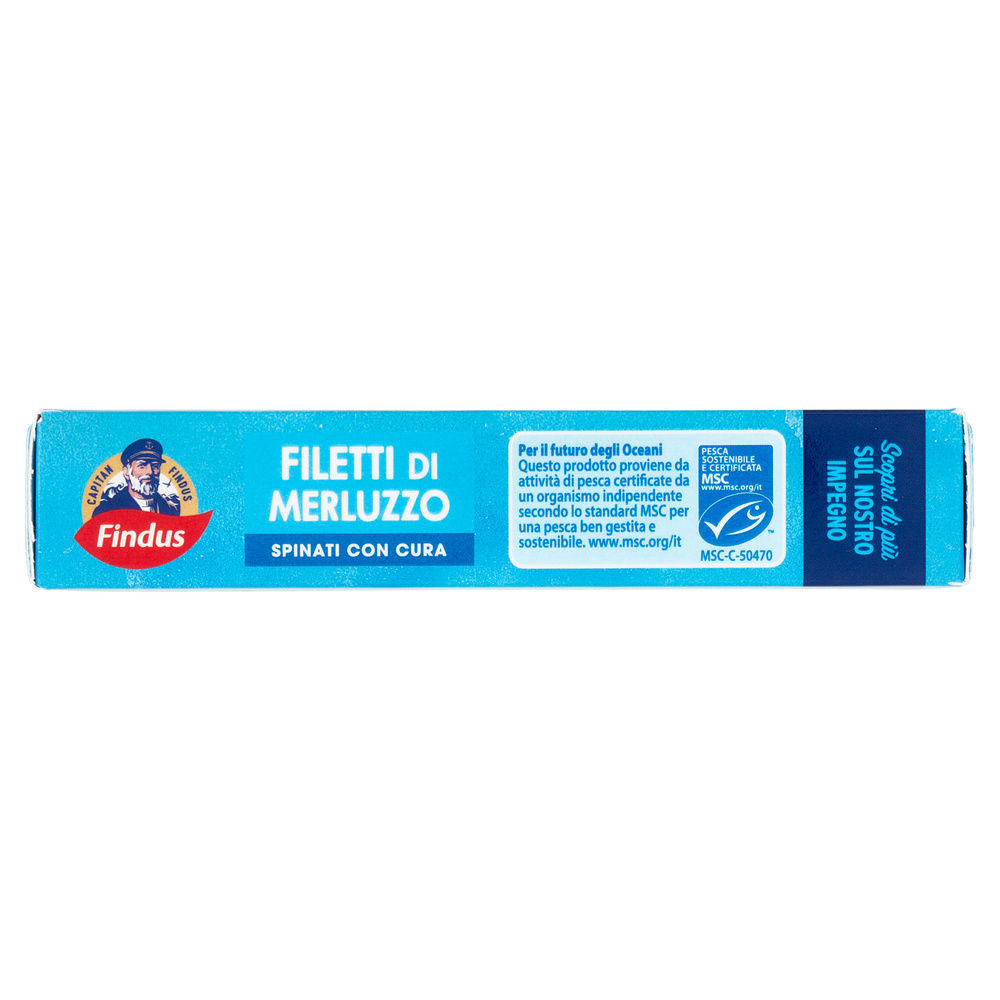 FILETTI DI MERLUZZO FINDUS G 200 - 4