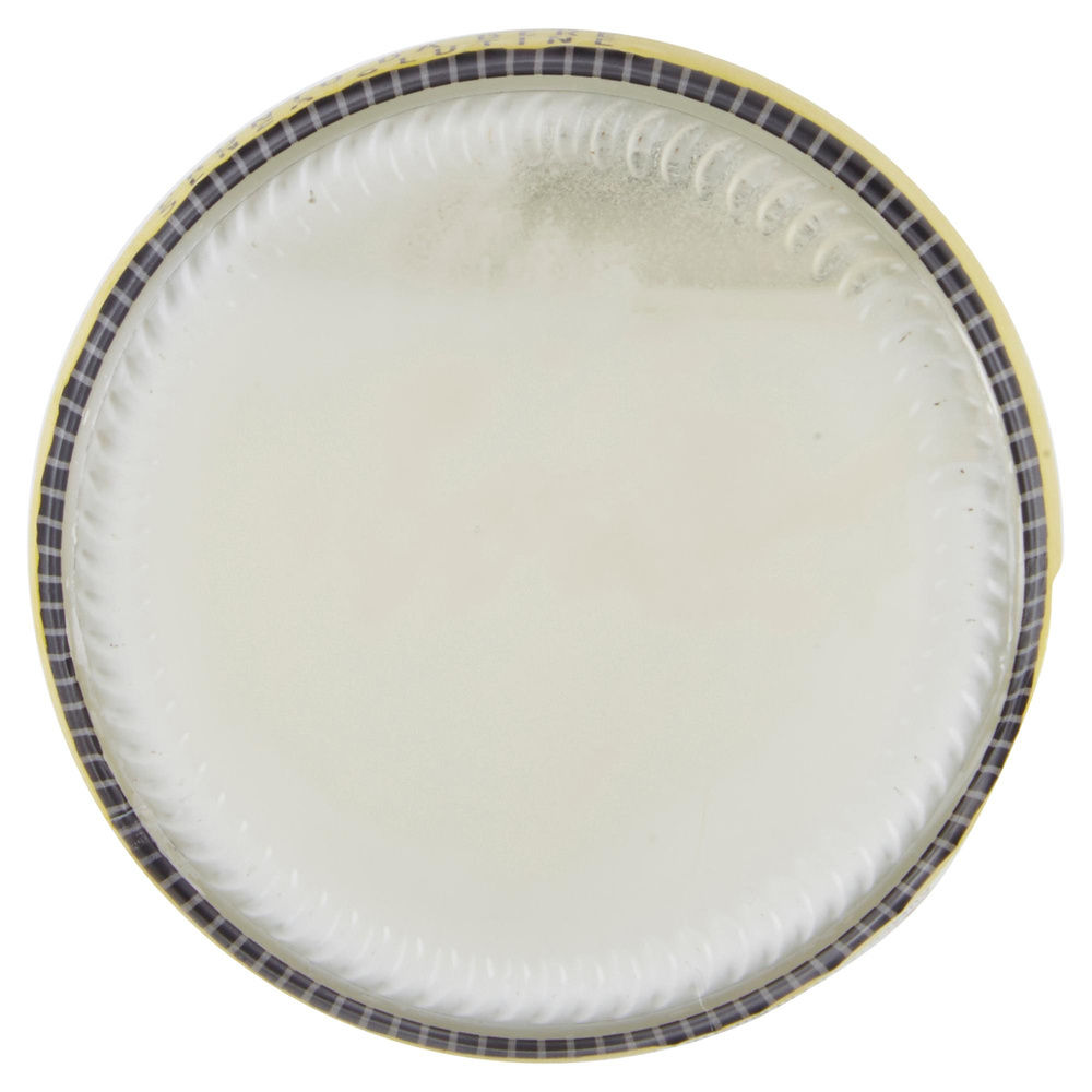 SORBISSIMO AL LIMONE QUADRIFOGLIO BOTTIGLIA 750G - 6