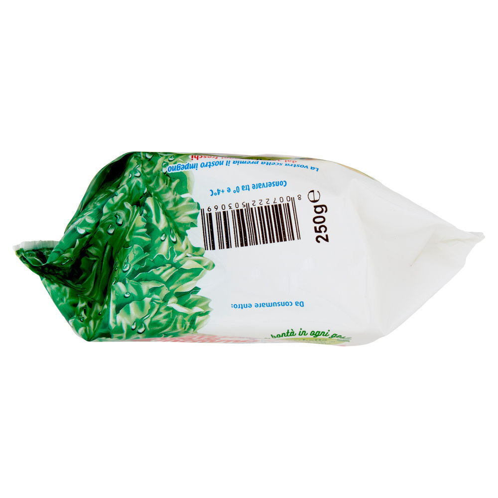 FORMAGGIO SQUAQUERELLO NONNO NANNI VASCHETTA 250 G - 4