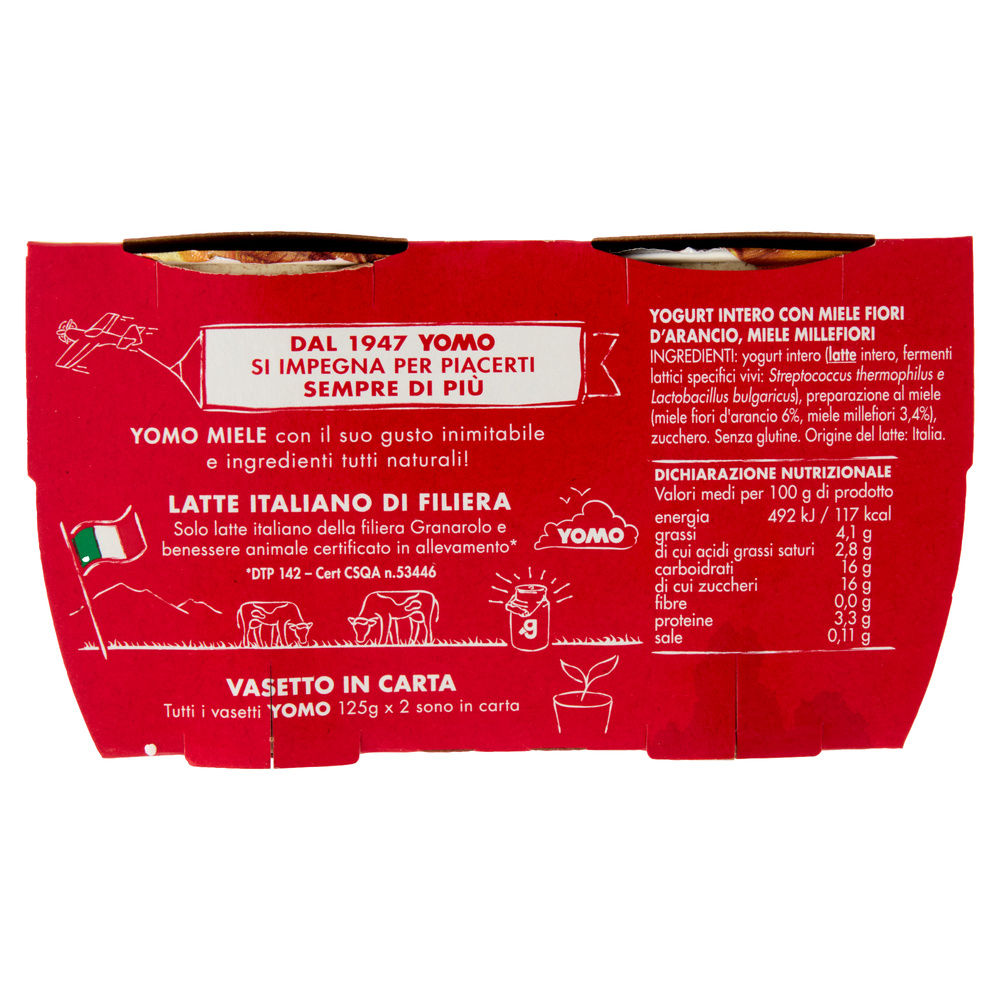 YOGURT YOMO 100% NATURALE MIELE 2X125 G - 1