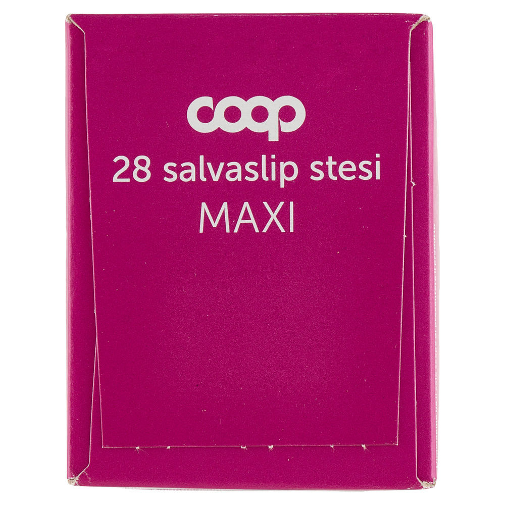 SALVASLIP STESI MAXI COOP PZ.28 - 15