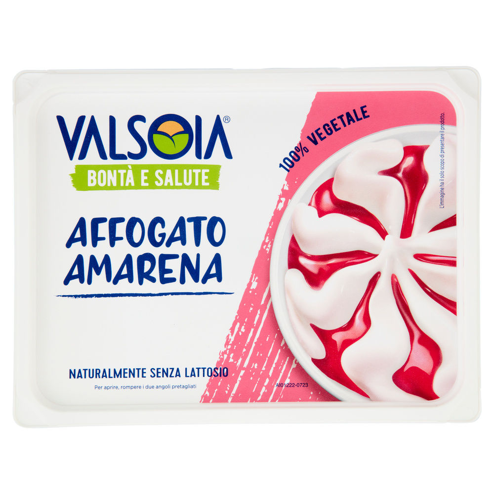 GELATO BIANCO VARIEGATO AMARENA VALSOIA VASCHETTA G 500 - 0