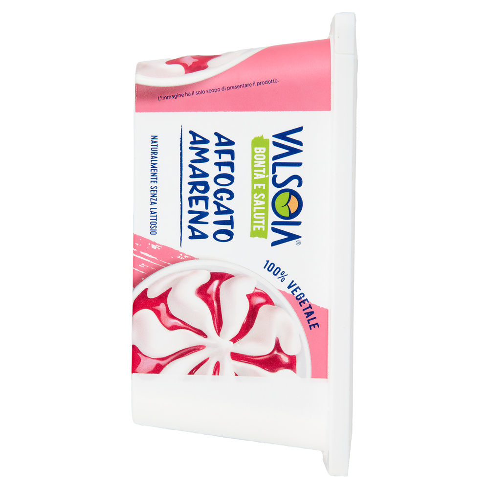 GELATO BIANCO VARIEGATO AMARENA VALSOIA VASCHETTA G 500 - 4